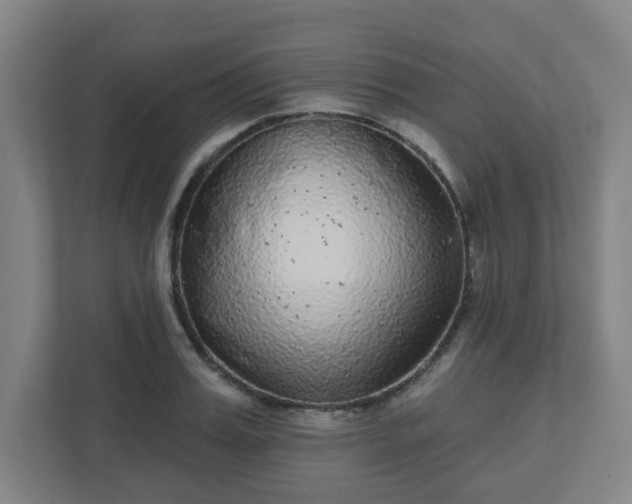 X0000110880987200906251245