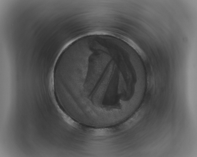 X0000110880988200906251245