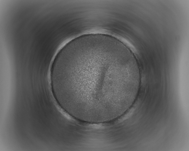 X0000110880990200906251245