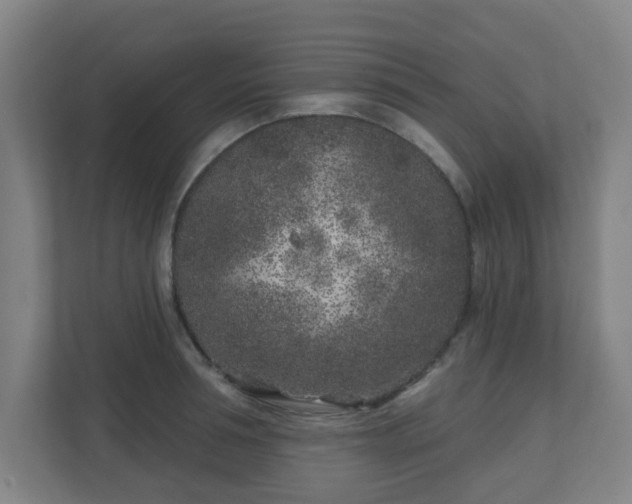 X0000110880994200906251245