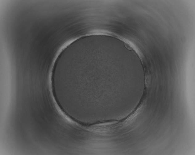 X0000110880995200906251245