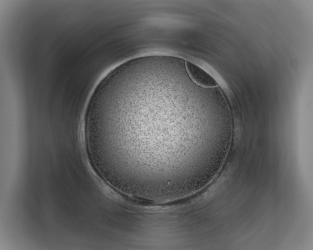 X0000110880996200906251245