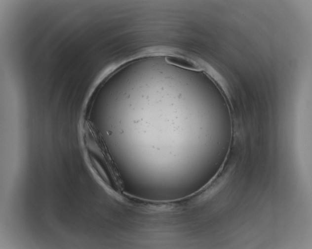 X0000110880997200906251245