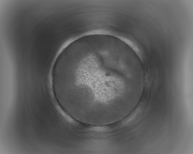 X0000110880998200906251245