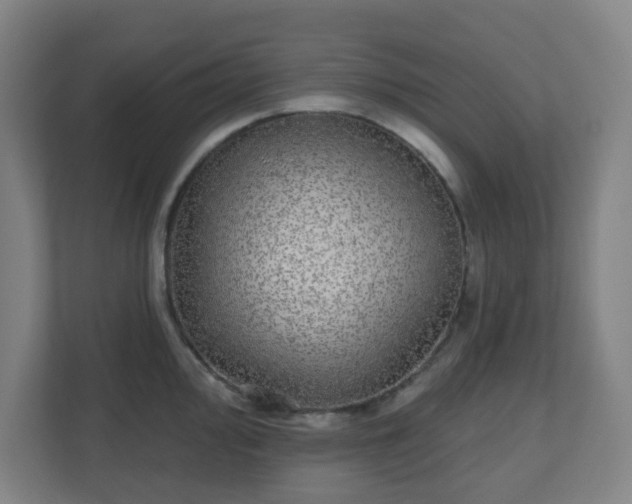 X0000110881000200906251245
