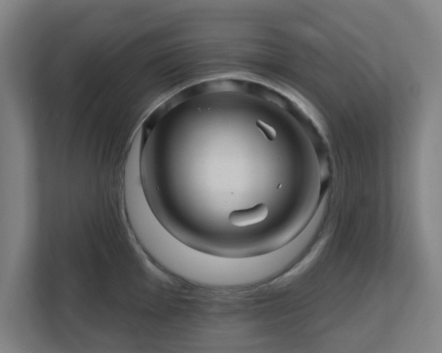 X0000110881001200906251245