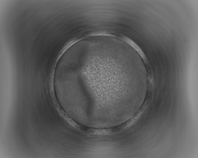 X0000110881002200906251245