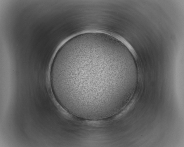 X0000110881004200906251245