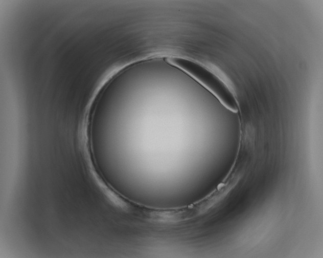 X0000110881005200906251245