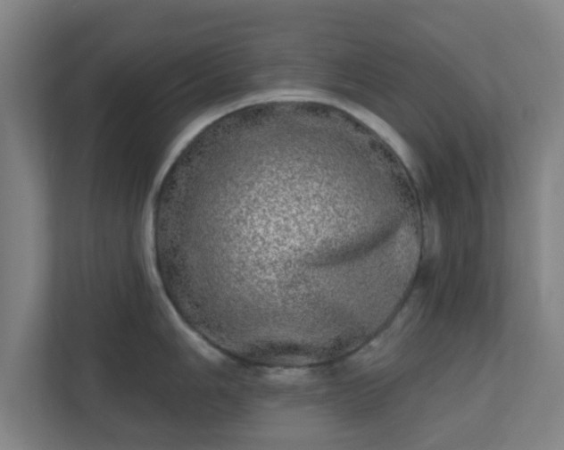 X0000110881006200906251245