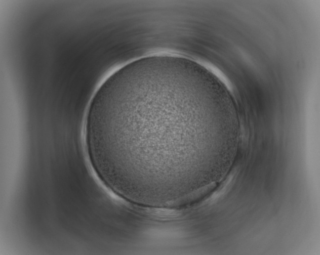 X0000110881007200906251245