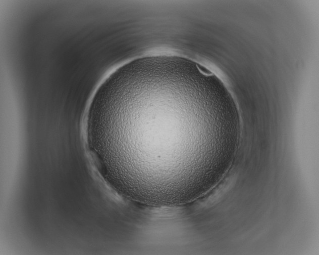X0000110881008200906251245