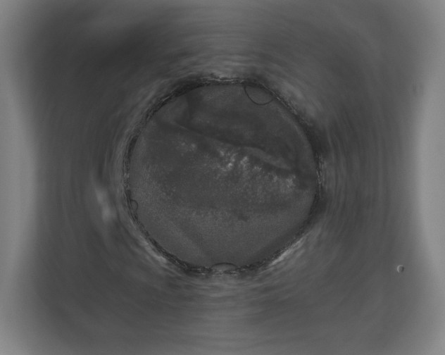 X0000110881009200906251244