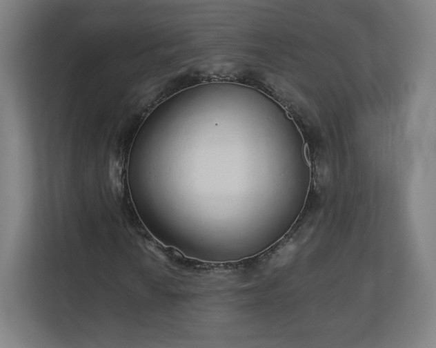 X0000110881010200906251244