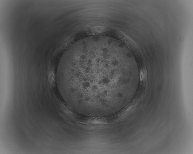 X0000110881011200906251244