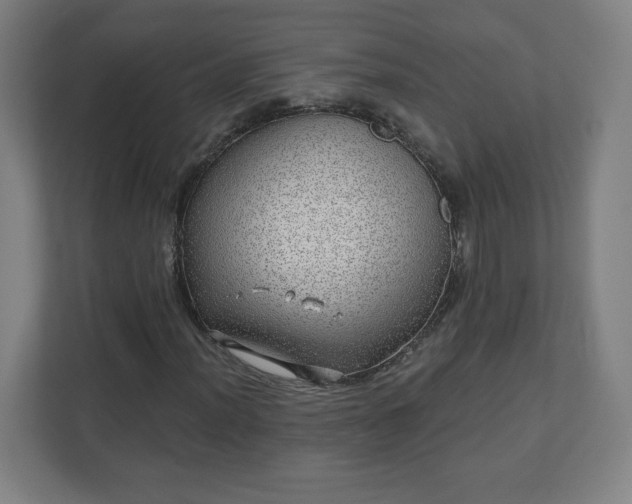 X0000110881012200906251244