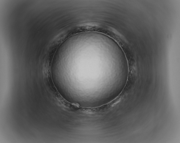 X0000110881014200906251244
