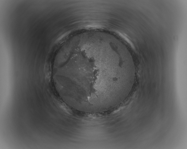 X0000110881015200906251244