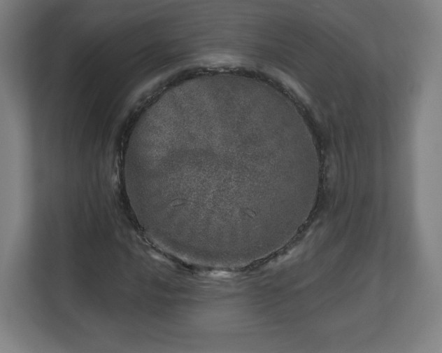 X0000110881016200906251244
