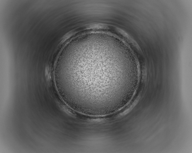 X0000110881017200906251244