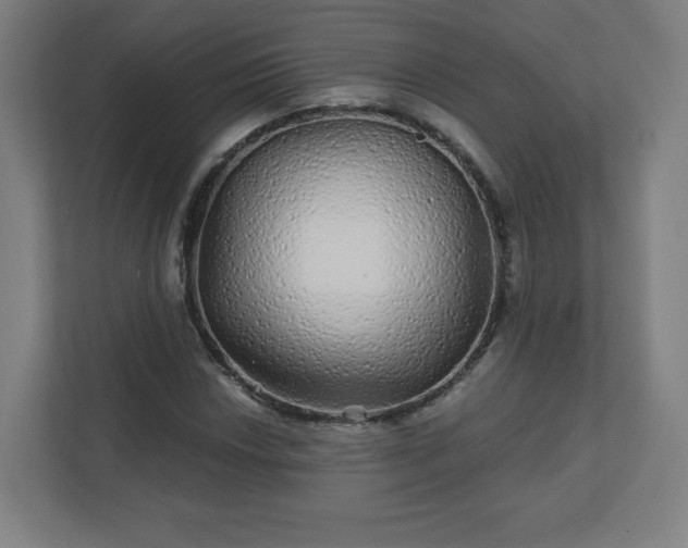 X0000110881018200906251244