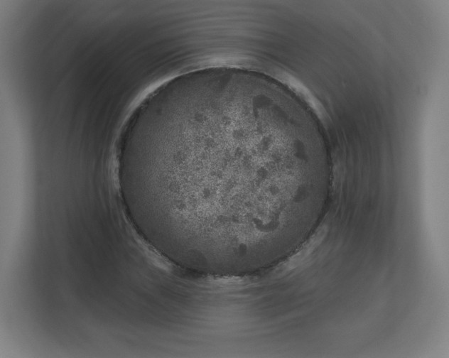 X0000110881019200906251244