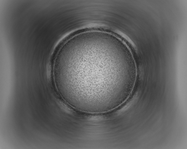 X0000110881021200906251244