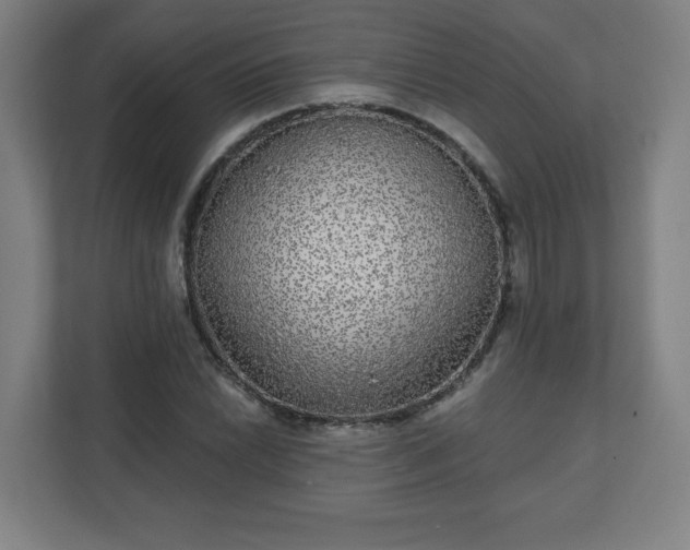 X0000110881022200906251244