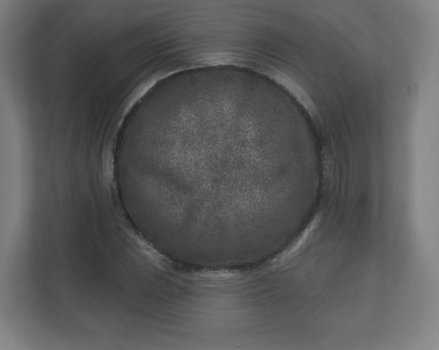 X0000110881023200906251244