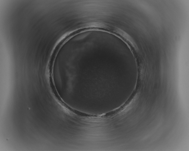 X0000110881024200906251244