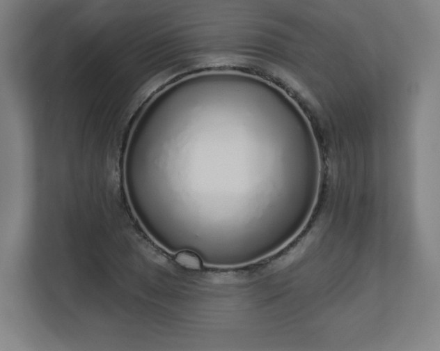 X0000110881025200906251244