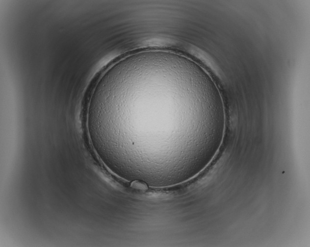 X0000110881026200906251244