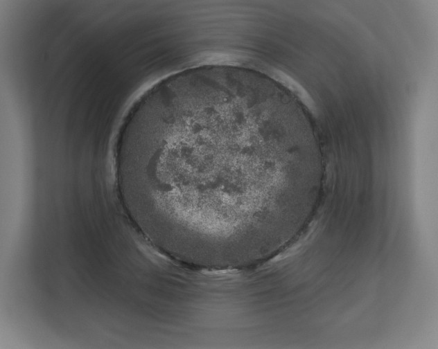 X0000110881027200906251244
