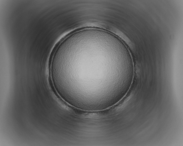 X0000110881028200906251244