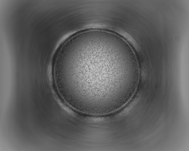 X0000110881030200906251244
