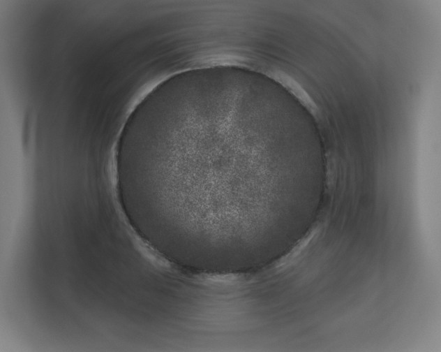 X0000110881031200906251244
