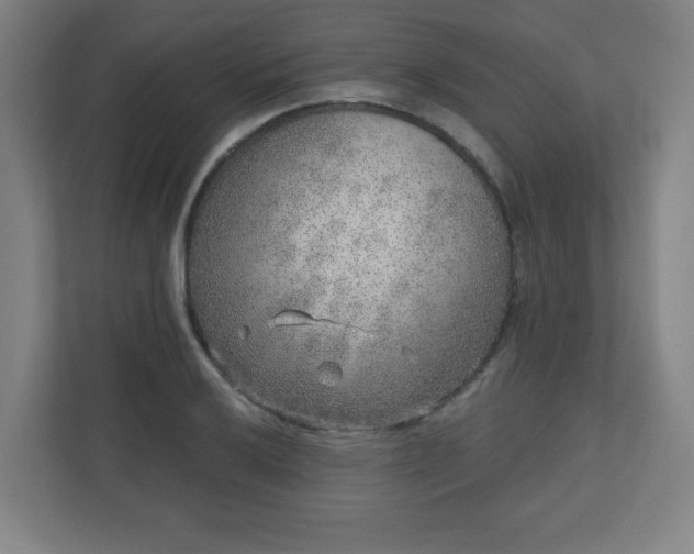 X0000110881032200906251244