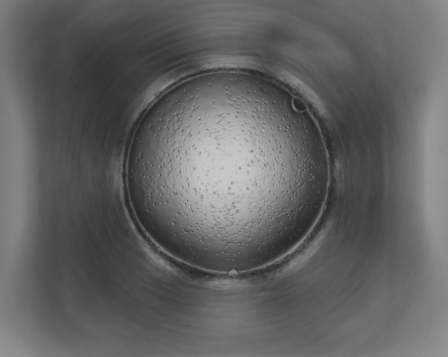 X0000110881033200906251244