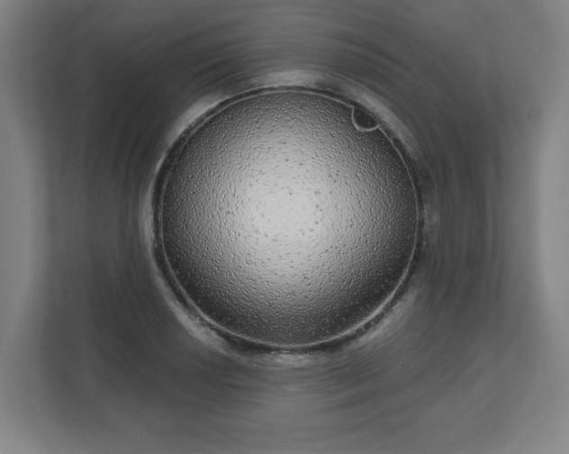 X0000110881034200906251244