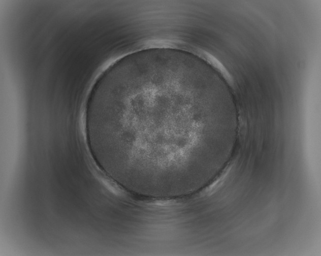 X0000110881035200906251244