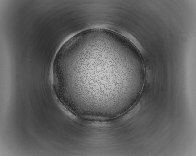 X0000110881036200906251244