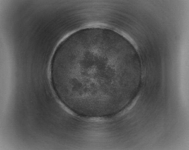 X0000110881037200906251244