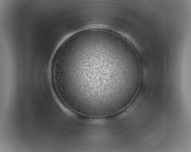 X0000110881038200906251245