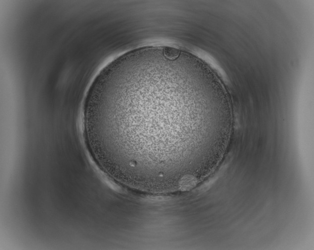 X0000110881040200906251245
