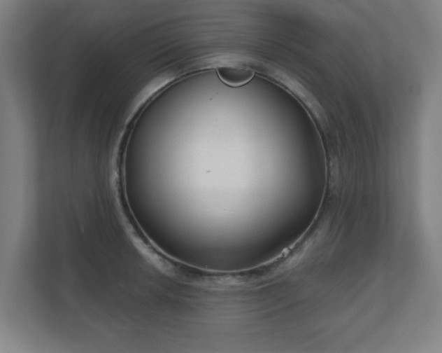 X0000110881042200906251245