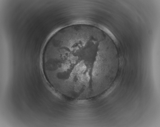 X0000110881043200906251245