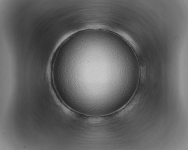 X0000110881046200906251245