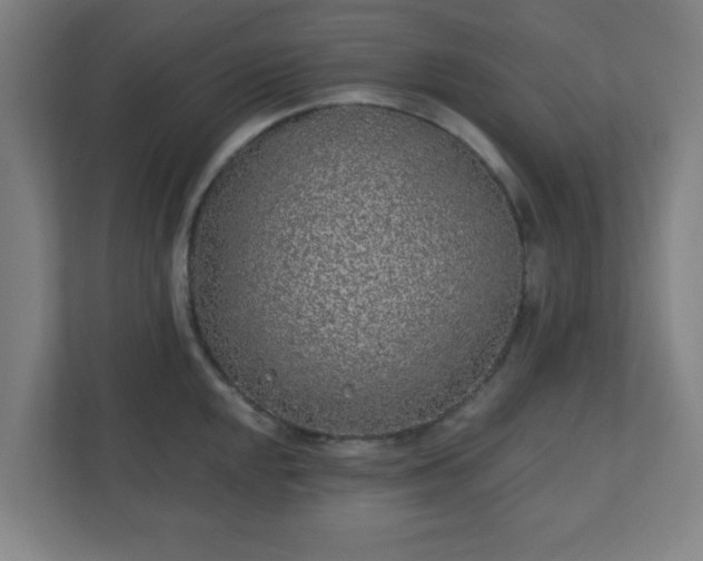 X0000110881048200906251245