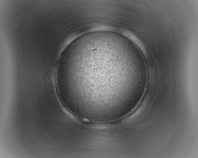X0000110881049200906251245