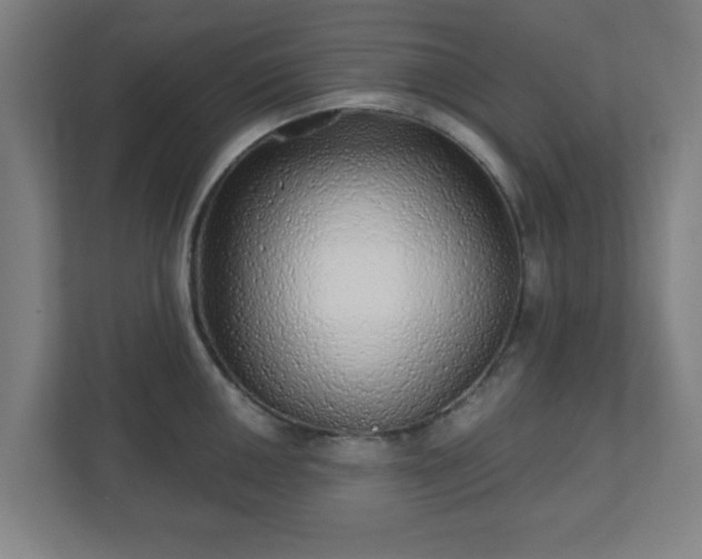 X0000110881050200906251245